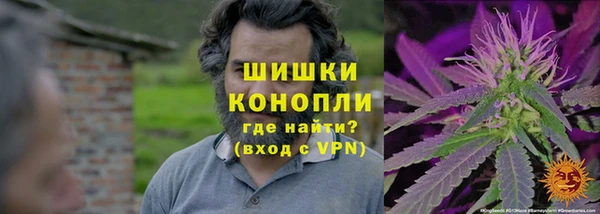 прущие крисы Приозерск